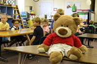 Kdg Bear Kdg Bear